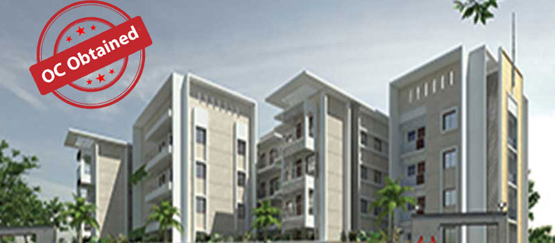 mpinfra